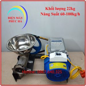 Máy xay đùn thịt cối 12 gang