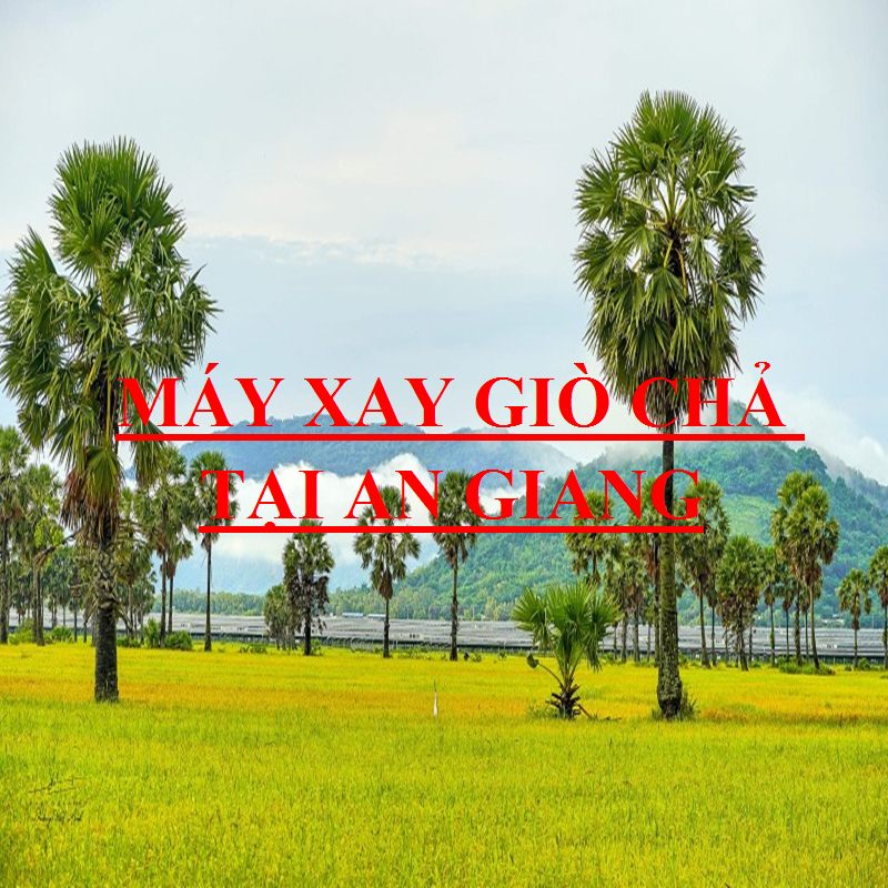 Nơi Bán Máy Làm Giò Chả Gia Đình Tại An Giang